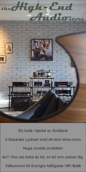 The High-End Audio Store